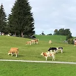 Maresi